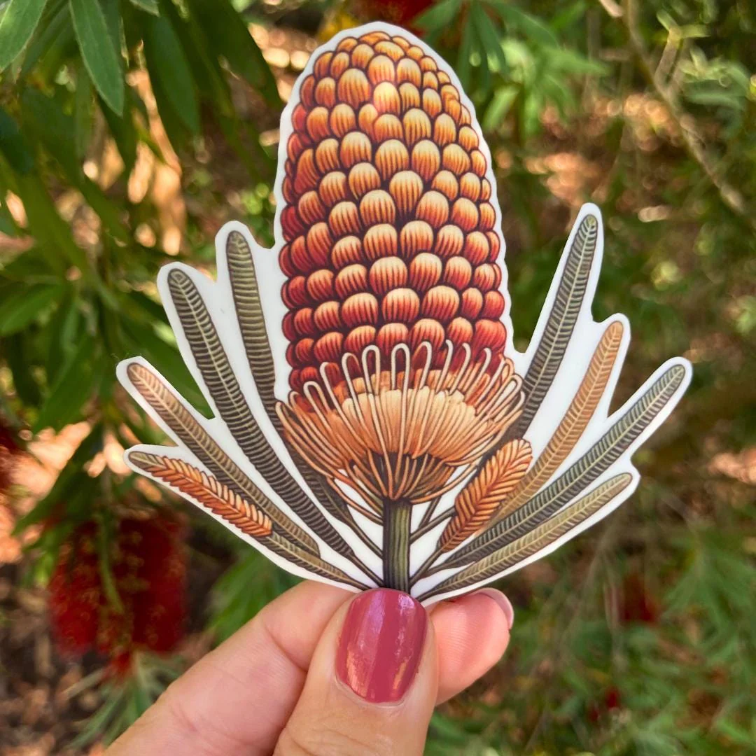 Banksia