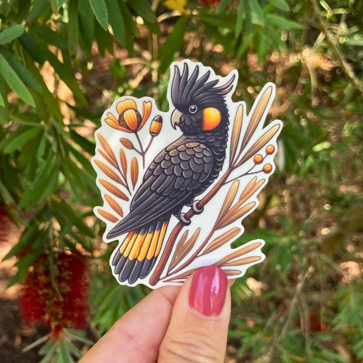 Black Cockatoo