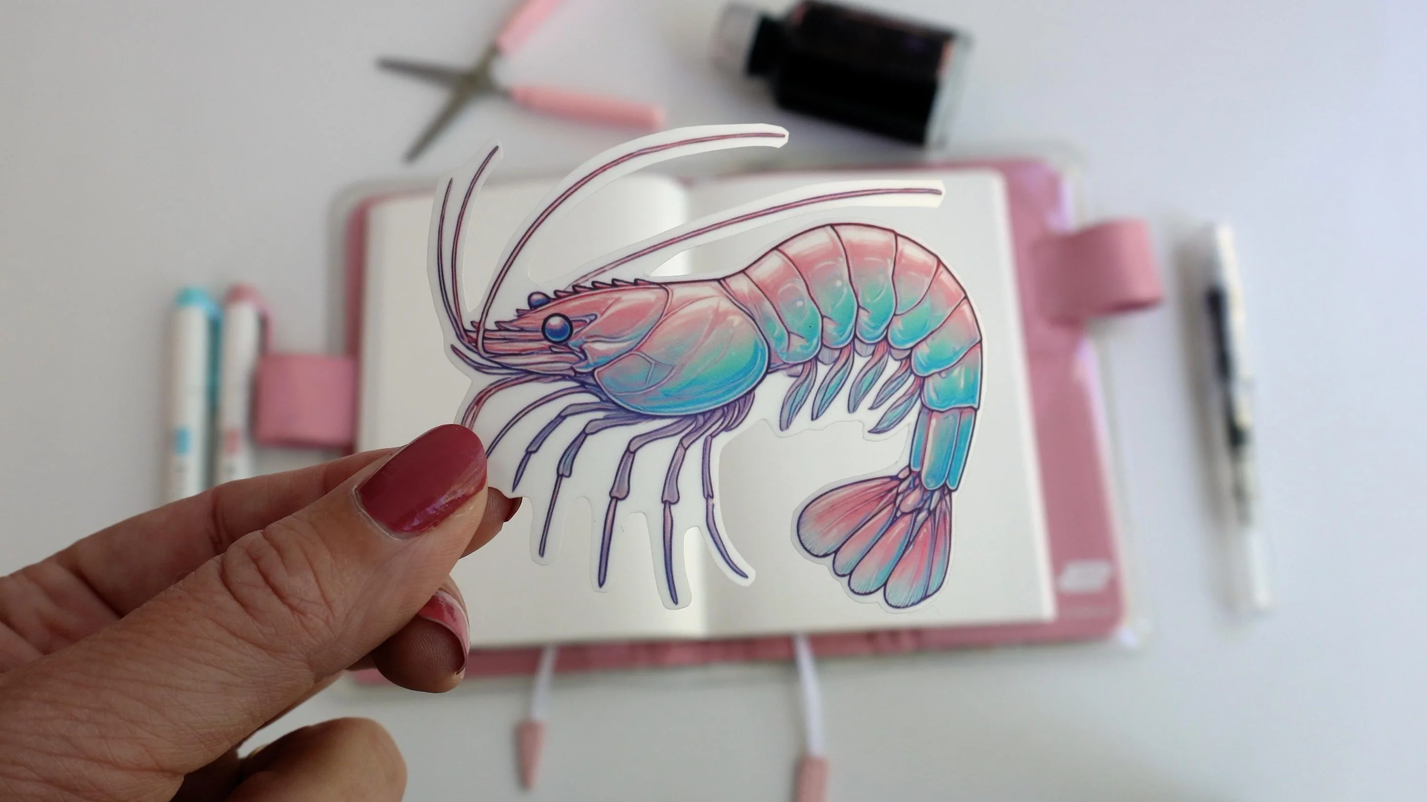 Cherry Shrimp