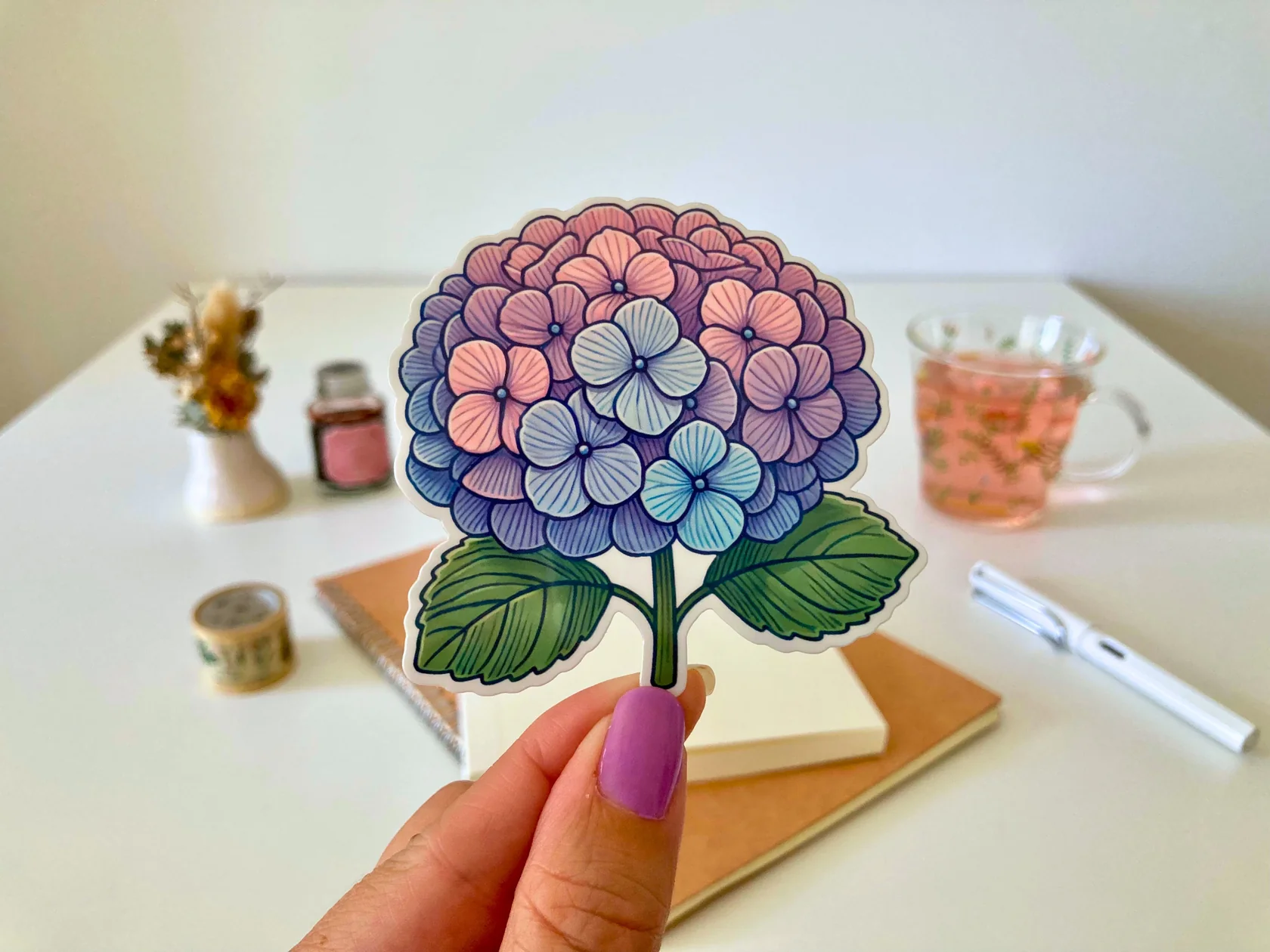 Hydrangea