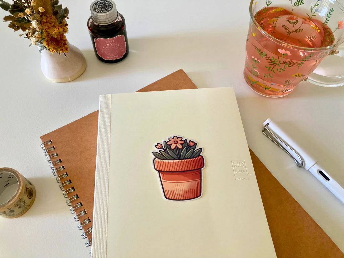 Potted Plant