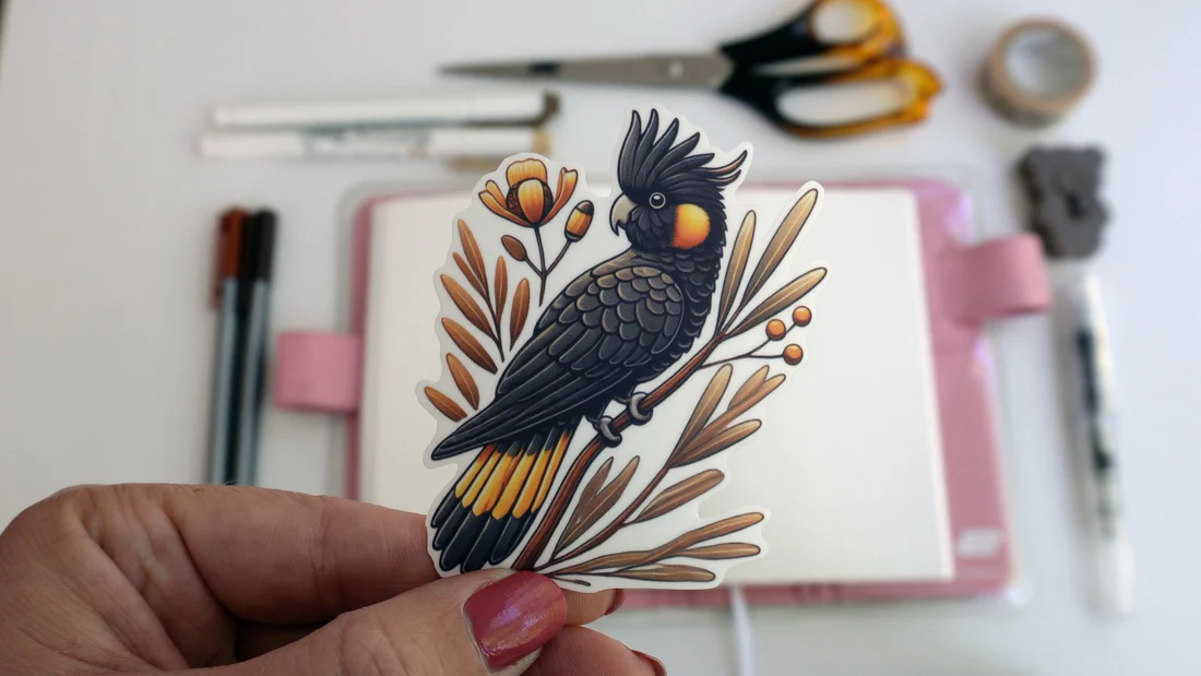 Black Cockatoo