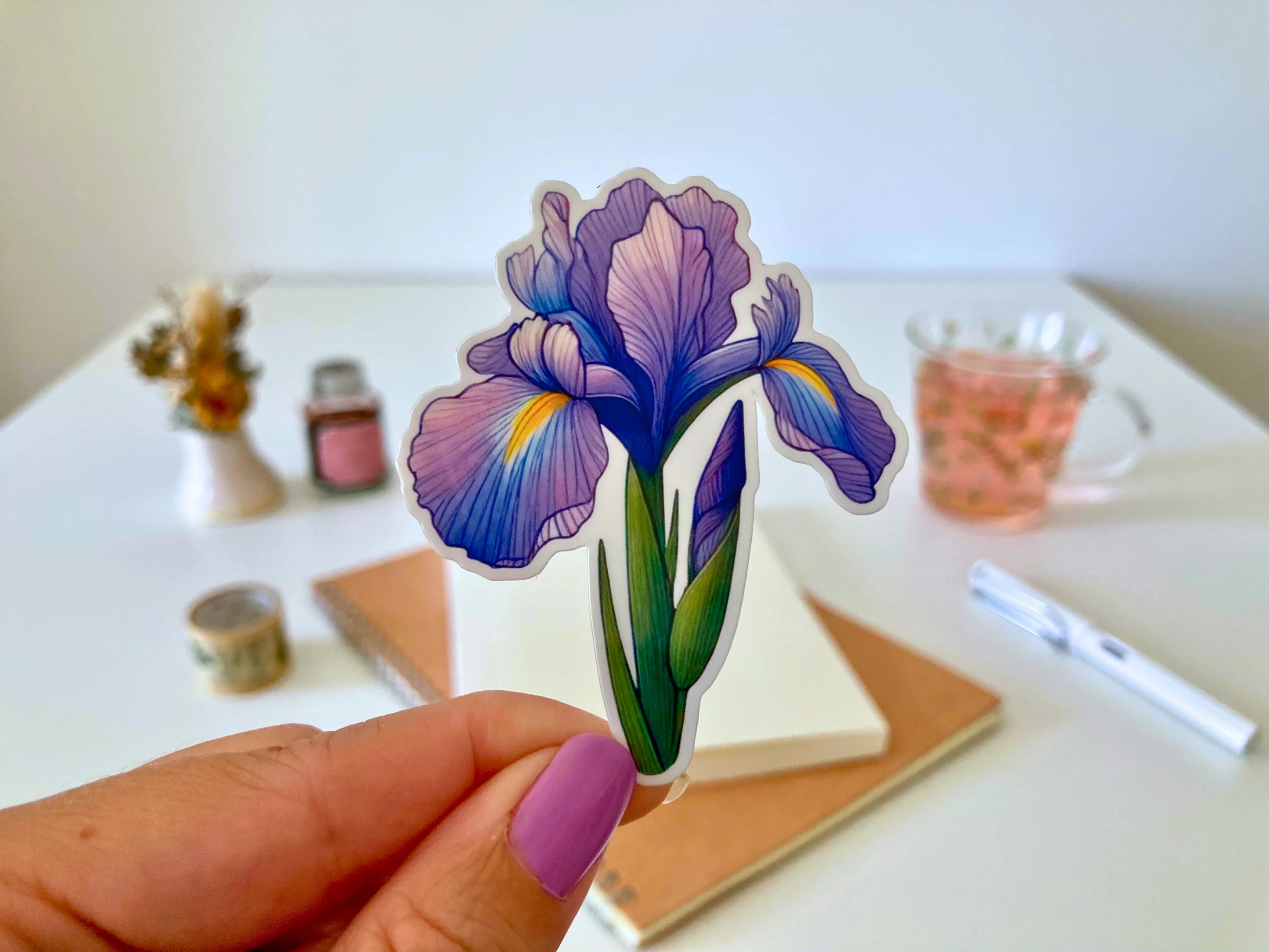 Iris